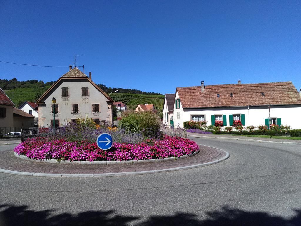 Gites & Camping On The Route Des Vins Bergheim Esterno foto